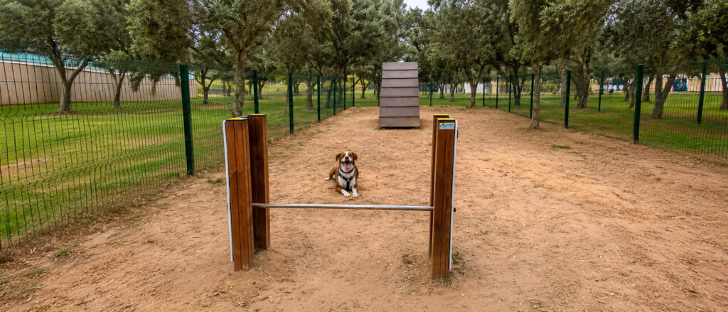 84-parque-canino-da-quinta-do-caneco-1782391702115