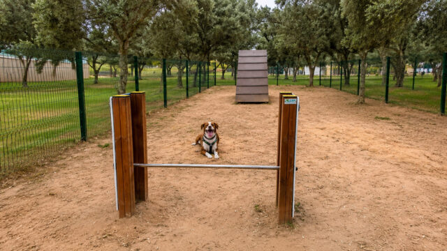 84-parque-canino-da-quinta-do-caneco-1782391702115