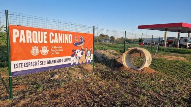 Parque-Canino-UFF-7-696×522