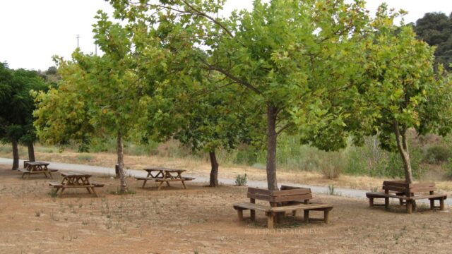 ParqueMerendasBarragem-2