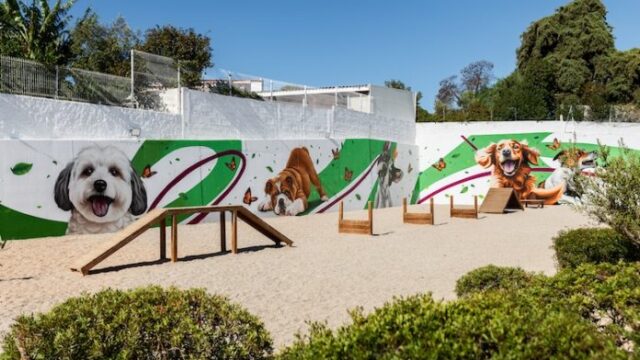 Quarteira-Parque-Canino-1-696×464