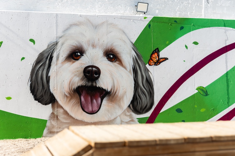 Quarteira-Parque-Canino-4