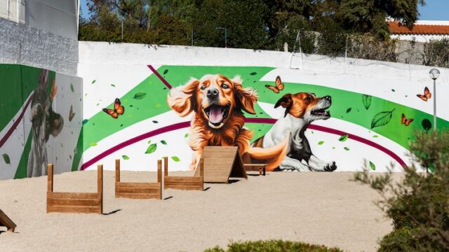 Quarteira-Parque-Canino-5