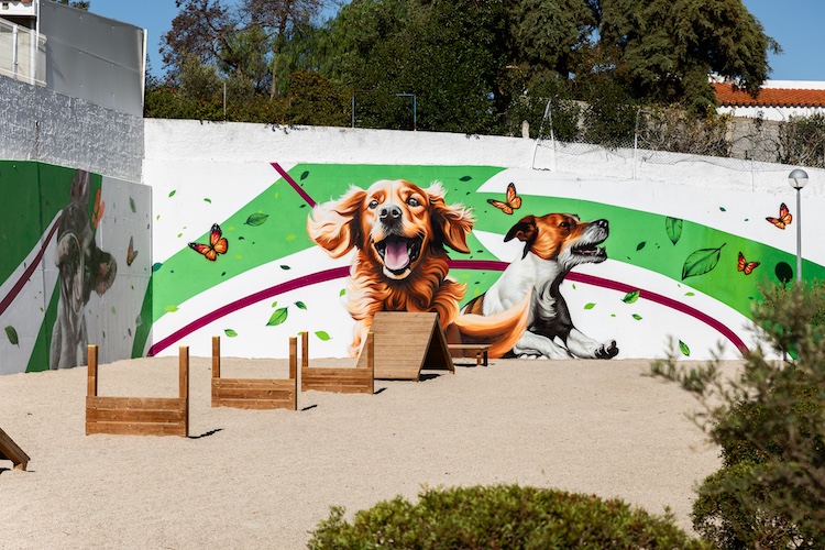 Quarteira-Parque-Canino-5