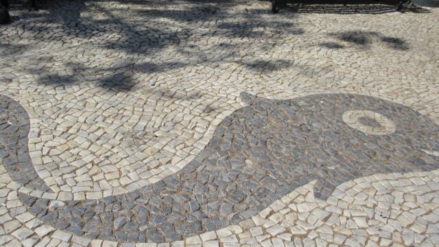 jardim-manuel-bivar (1)